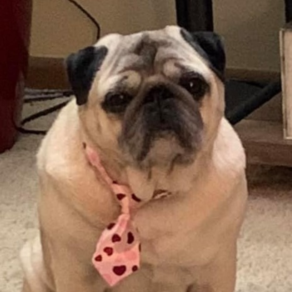 Meet your Posher, Debra